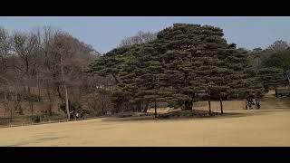 청와대 녹지원  23-55편