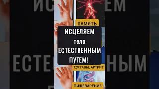 4 древние мудры, о которых не расскажут врачи — исцеляем тело естественным путём!