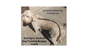 Dog Training Bungee Leash! Genuine Review by Fuzzy