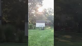 Nasty Wiffleball pitches!#baseball #pwl #mlw #viral #sports #trending