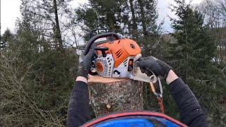 DÉMONTAGE D'UN GRAND DOUGLAS / STIHL 500I