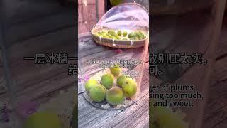 Traditional Chinese plum wine for spring detox (Grain Rain recipe)