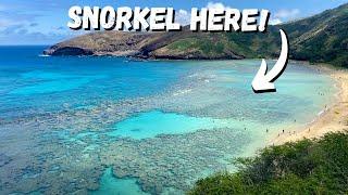 Hanauma Bay -  Hawaii Beach for Snorkeling | Everything you need to know to go