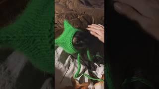 Чепчик спицами для кота вяжем спицами шапочку с ушками #мквязание #шапкаспицами #чепчик #вязание