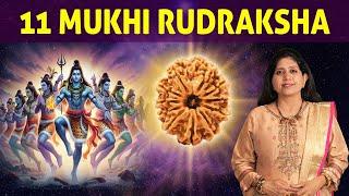 11 Mukhi Rudraksha | Best Rudraksha for Wisdom & Creativity | Eleven Mukhi Rudraksha