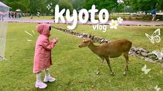 A Weekend in Kyoto: nara deers, making mochi, & temples