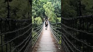 청주 산성고개 출렁다리