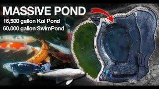 Huge Koi Pond & Swimming Pond