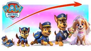 Paw Patrol Growing Up Compilation | Go WOW