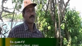 The Greenbelt Reports: Saved by Sand (Tamil Version)