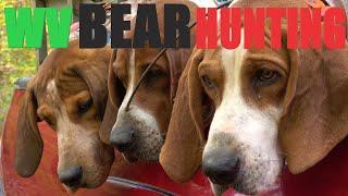 WV BEAR HUNT WITH HOUNDS