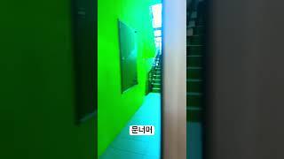 초록색 백룸