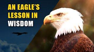 Rise ABOVE Challenges By Learning From The Wise – Cinematic Short Story Life Lesson (The Eagle)