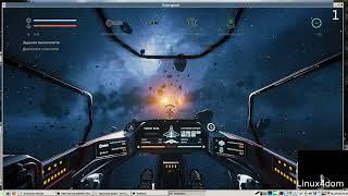 Everspace on Linux, wine