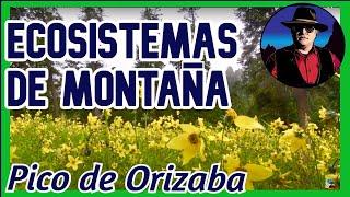 Ecosistemas de Montaña, Pico de Orizaba