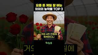 농촌진흥청이 인정한 고소득작물 순위.. '이게 이 정도라고?!'