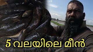 5 വലയിലെ മീൻ | FISHINGVLOG | #fishing #realfishing