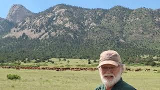 Keith Gilbertson the Tooth of Time and Philmont Cattle