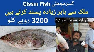 Gissar Fish | RS 3200 KG | Pakistan Se Bahar jati he Bahar ke log zada Pasand Karte hen Pakistan T