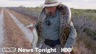 The Bounty Hunters Catching Pythons In Florida (HBO)