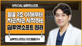 실루엣소프트 리프팅 잘하는 곳 【리즈벨클리닉】 시술 원리 이해를 위한 얼굴의 구조 알기