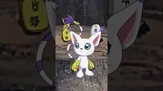 Evoluciones Armor de Gatomon