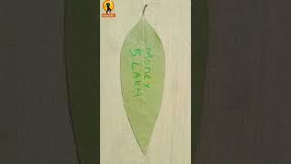 100% Paisa Barsane Wali remedy  Remedy For Instant Money Ft Bhavna Upadhyaya