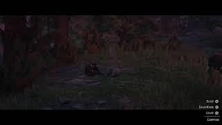 Fall Asleep To: Red Dead Redemption 2 - After Dark - The Quiet Grind (Live Stream)