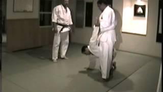 Tanren Dojo - Okinawan/Chinese Kenpo (Ju no Kage Ryu) pt 1