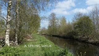 A spring walk