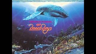 Summer in Paradise - Beach Boys