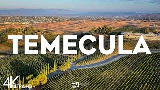 Top 10 Best Things to Do in Temecula, California [Temecula Travel Guide 2024]