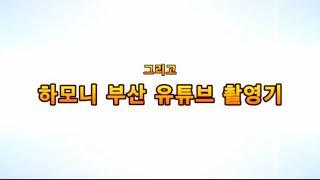 영양제도 등급이 있어요~^^