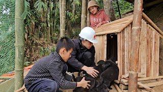 To protect the puppies from the cold, the engineer skillfully made a house for the puppies himself.