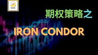 期权策略之 Iron Condor 篇