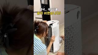 결국 제습기를 뜯어보았습니다! 제습기 안 가득한 곰팡이! 곰팡이 걱정없이 쓰는 국내최초 콘덴싱 제습기 #대성쎌틱 #콘덴스제습기공구 #공구예고