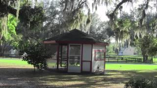 Equine Property With Acreage - Meadow Wood Farms Ocala Florida - Lana Flodman