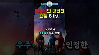 매생이의 대단한 효능 6가지 #건강동기부여 #인생조언 #삶의지혜