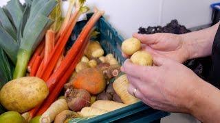 Traditional Ulster Roots and Shoots at Ballyrobin