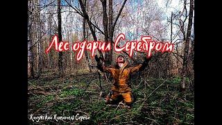 ЛЕСНОЙ КОП 2022 ЛЕС ОДАРИЛ СЕРЕБРОМ!!!