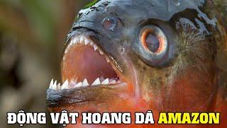 Amazon Ngôi Nhà Của Hoang Dã P2 | Khám Phá Thế Giới Động Vật Hoang Dã