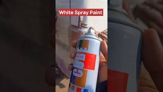 ECCO Scratch Remover