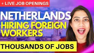 How to get a JOB in NETHERLANDS | JOBS WITH VISA SPONSORSHIP in NETHERLANDS 