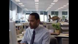 GEICO TV Spot, 'Camel on Hump Day'