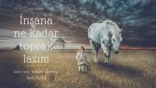 İNSANA NE KADAR TOPRAK LAZIM | TOLSTOY Sesli Öykü