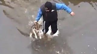 Drowning puppy shows pure joy after rescue