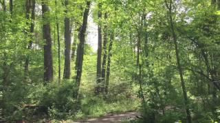 Biking the Sugarland Run Stream Trail