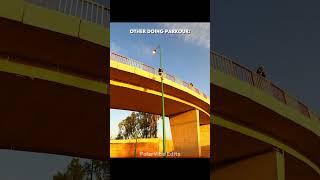Parkour Is Insane