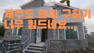 제주도 연세 육지에서 구하기 힘든 이유가 있네요