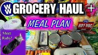 One Week Grocery Haul PLUS FAMILY FRIENDLY WW Meal Plan Menu! Weight Watchers  Points Included!